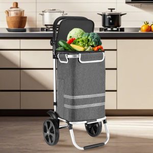 Big Wheeled XRL008