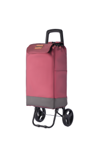 Big Wheeled PTZ-09