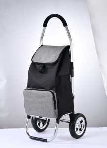 Big Wheeled XRL010