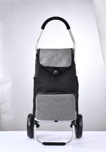 Big Wheeled XRL010