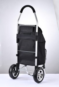 Big Wheeled XRL010