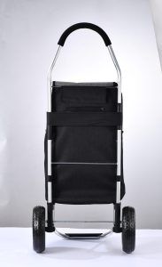 Big Wheeled XRL010