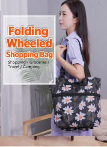 Hidden Wheel Shopping Bag WB-04
