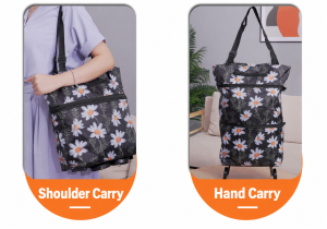 Hidden Wheel Shopping Bag WB-04