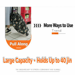 Hidden Wheel Shopping Bag WB-04